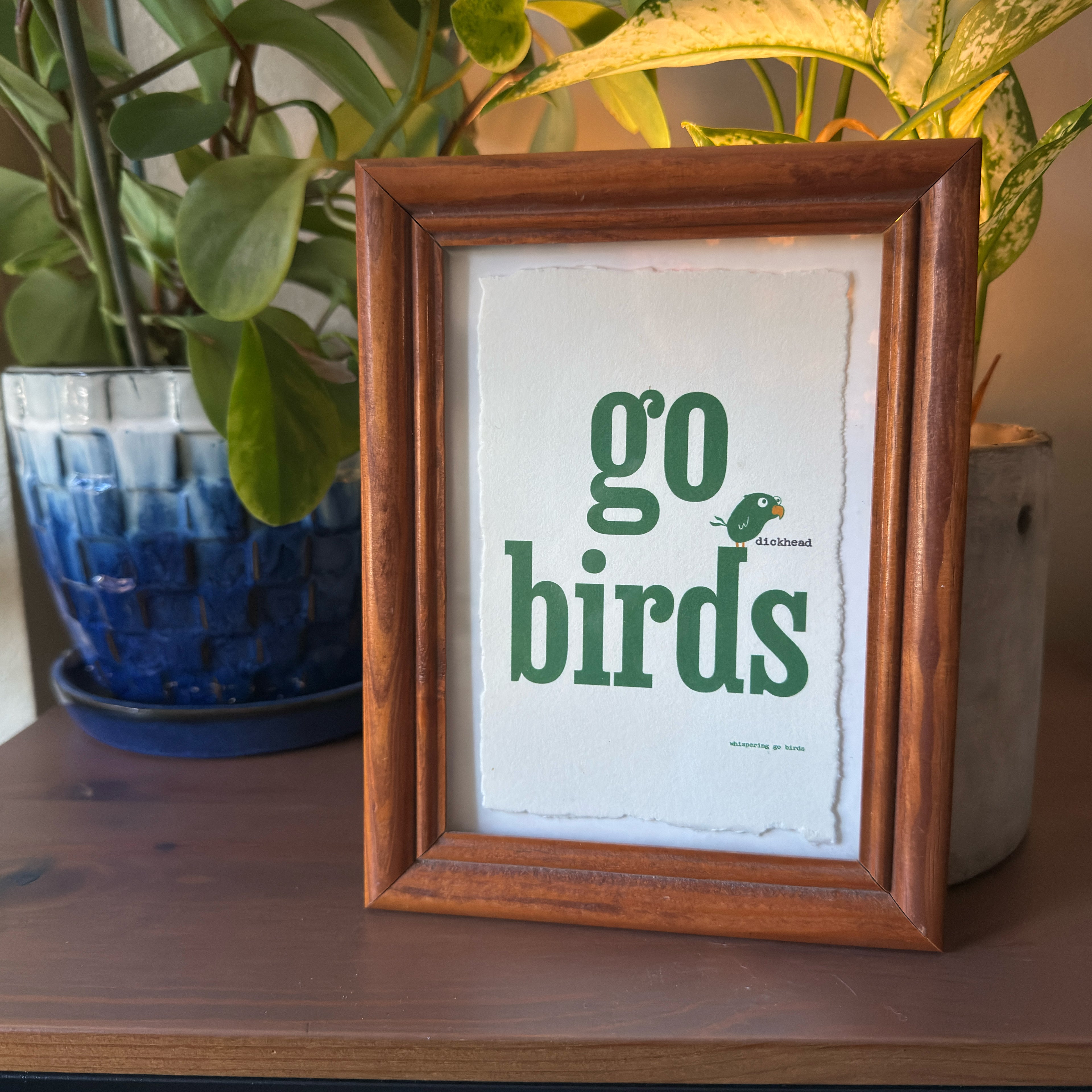 Go Birds DH [explicit]