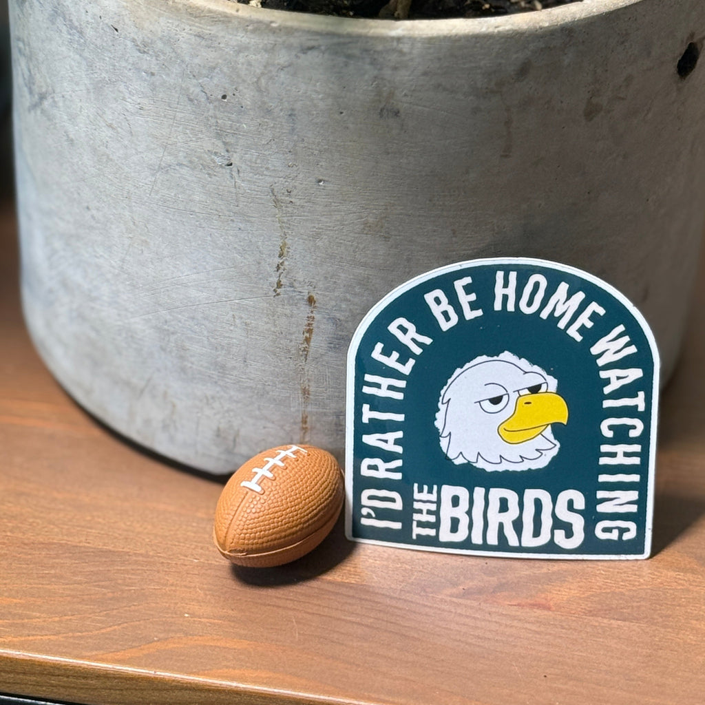 Potted plant on a wooden surface with a 'Rather Be Home Watching The Birds' sticker and football nearby.