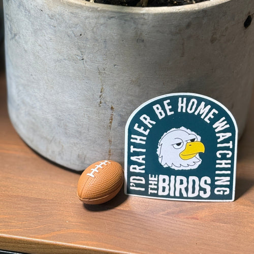 Potted plant on a wooden surface with a 'Rather Be Home Watching The Birds' sticker and football nearby.