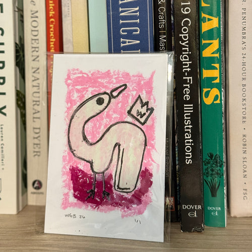 Book with a bird illustration in front of other books on a shelf