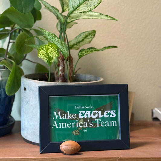 Framed sign with 'Make Eagles America's Team' on a shelf with plants